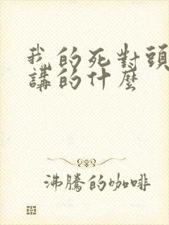 我的死对头小说讲的什么