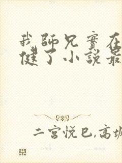 我师兄实在太稳健了小说最新章节列表