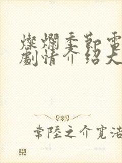 灿烂季节电视剧剧情介绍大结局