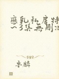 恋乳私房特注1～3集无删减