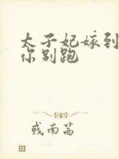 太子妃嫁到总裁你别跑