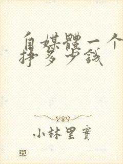 自媒体一个月能挣多少钱