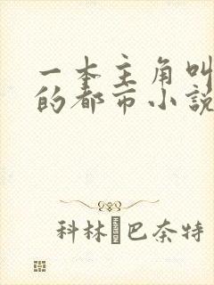 一本主角叫叶欢的都市小说
