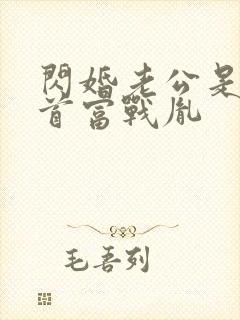 闪婚老公是千亿首富战胤封面