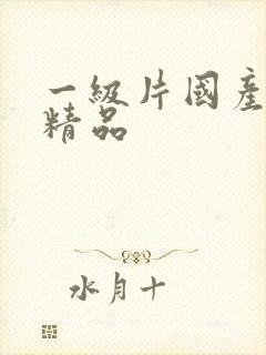 一级片国产麻豆精品