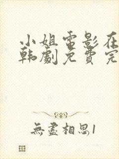 小姐电影在线看韩剧免费完整版