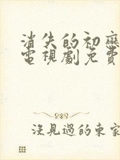 消失的初恋日剧电视剧免费观看高清