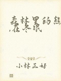 森林里的熊先生,在冬眠封面