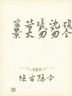 宁若曦沈砚舟盛景太匆匆全文