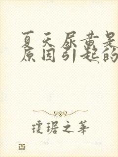 夏天尿黄是什么原因引起的封面