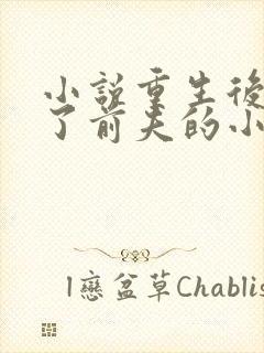 小说重生后我成了前夫的小舅娘txt