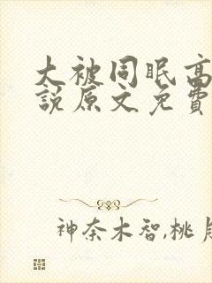 大被同眠高粱小说原文免费阅读