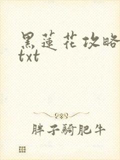 黑莲花攻略手册txt