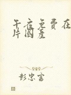 午夜免费在线看片国产