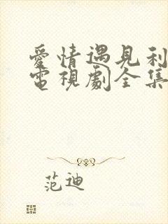 爱情遇见利先生电视剧全集封面