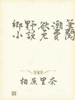 乡野欲潮笔趣阁小说免费阅读