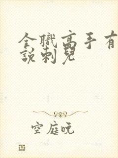 全职高手有声小说刺儿