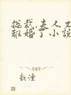 总裁,夫人又闹离婚了小说完整版本