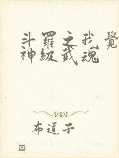 斗罗之我觉醒了神级武魂