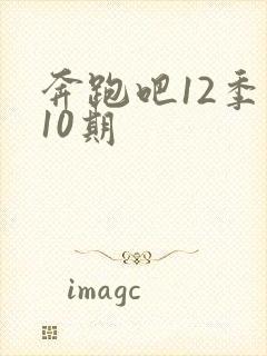 奔跑吧12季第10期