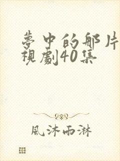 梦中的那片海电视剧40集封面