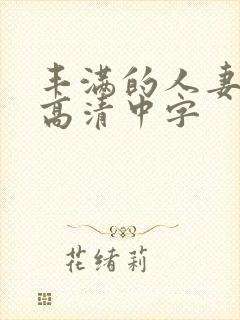 丰满的人妻hd高清中字