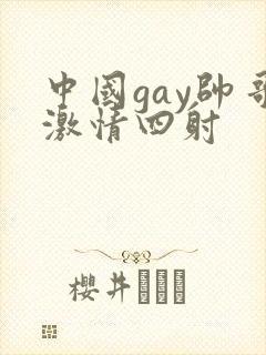 中国gay帅哥激情四射