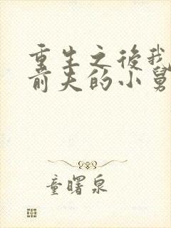 重生之后我成了前夫的小舅娘小说