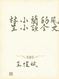 林小兰的风流人生小说全文免费阅读封面