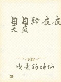 日日干夜夜操天天爽封面