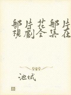 那片花那片海电视剧全集在线观看