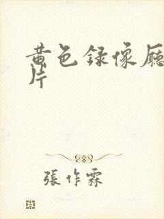 黄色录像厅一级片