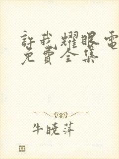 许我耀眼电视剧免费全集封面