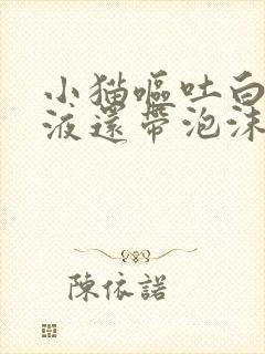 小猫呕吐白色粘液还带泡沫封面