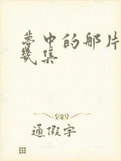 梦中的那片海共几集