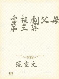 电视剧父母爱情第三集