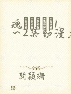 魂インサート1～2集动漫免费