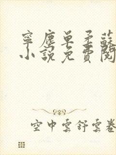 宁尘单柔苏千雪小说免费阅读最新