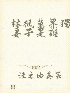 林枫万界独尊的妻子是谁封面