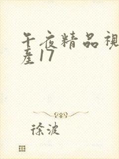 午夜精品视频国产17封面