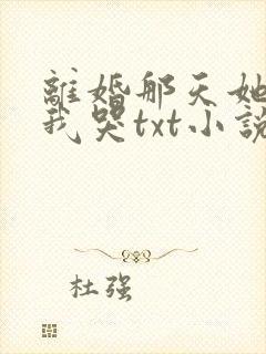 离婚那天她抱着我哭txt小说免费阅读