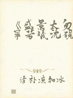 《盛景太匆匆》宁若曦沈砚舟