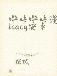 哔咔哔咔漫画picacg安卓封面