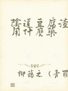 阴道豆腐渣瘙痒用什么药