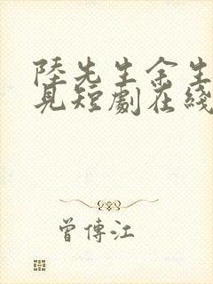 陆先生余生不再见短剧在线观看