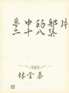 梦中的那片海第二十八集