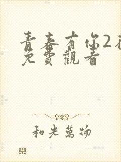 青春有你2在线免费观看