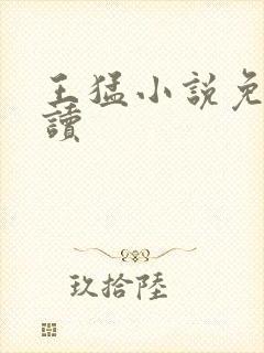 王猛小说免费阅读封面