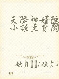 天降神婿陈黄皮小说免费阅读