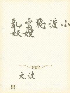 乱云飞渡小说之姣嫂